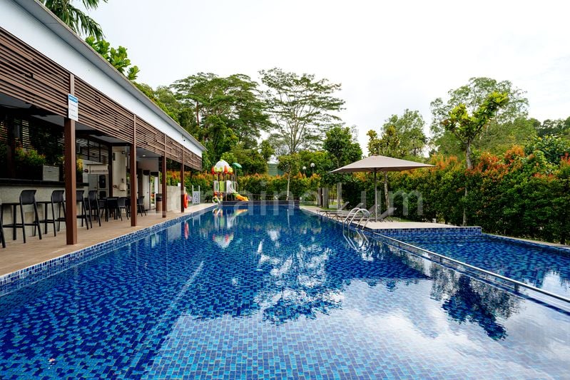 4+1 Bed Semi-Detached House (Landed) for Rent in Bukit Villas - Image 22