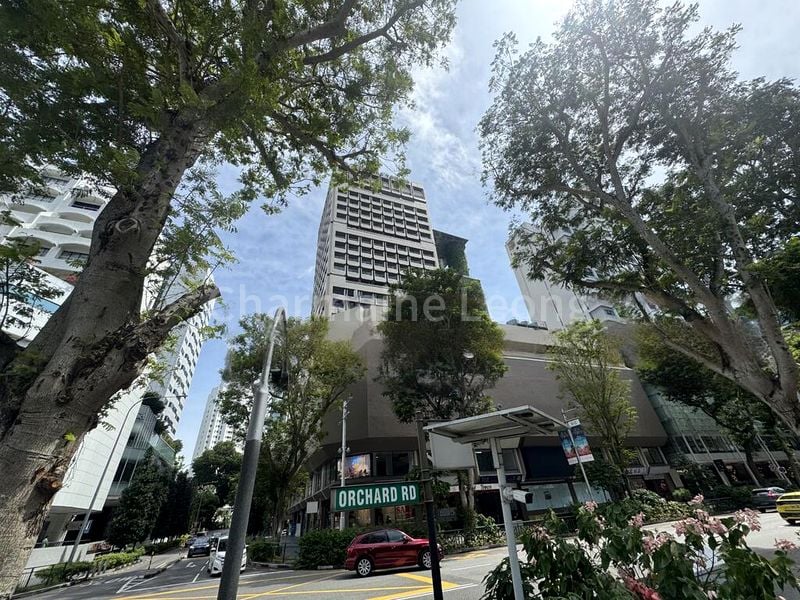 Office for Rent: Orchard Towers - Image 8