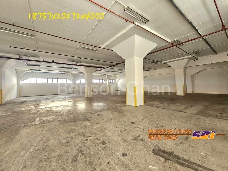 Warehouse for Rent: Pan-I Complex - Image 3