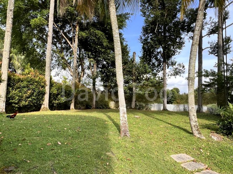 6 Bed Bungalow (Landed) for Rent in  HorseCity - Image 4