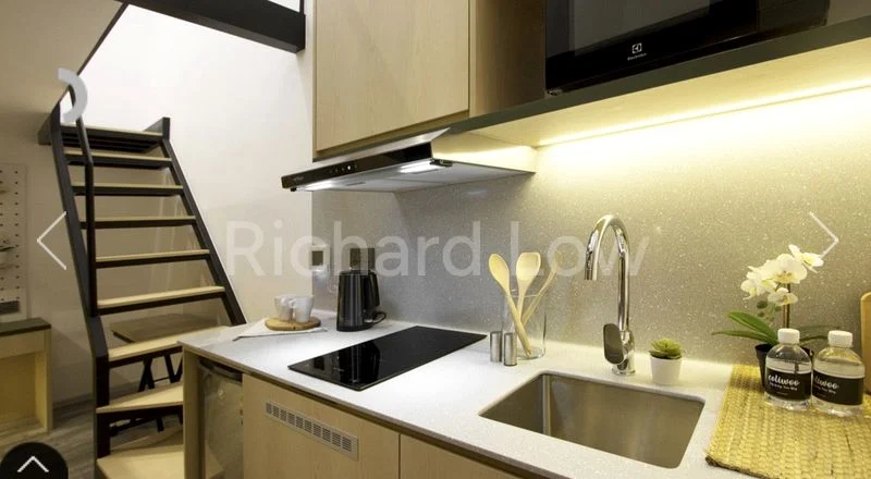 Studio Apartment (Condo) for Rent in  Coliwoo Balestier 320 - Image 2