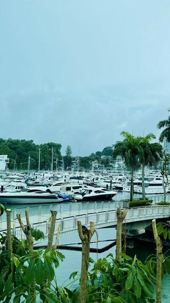 4 Bed Condo for Sale in  Caribbean At Keppel Bay - Image 5