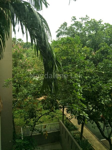 3 Bed Condo for Rent in  Changi Rise Condominium - Image 1