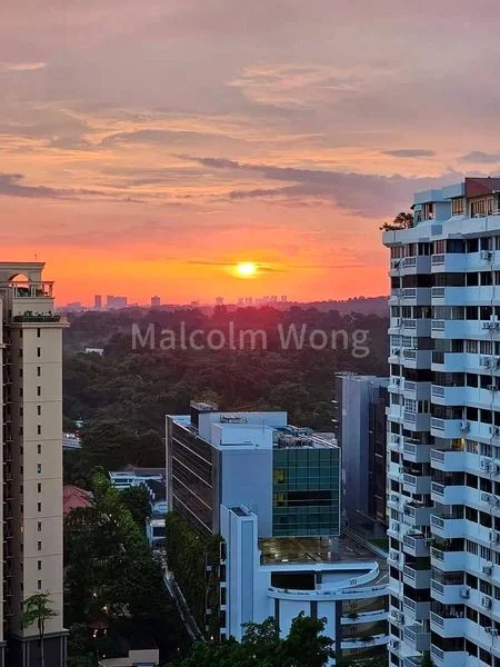 Common Room (Condo) for Rent in  Braddell View - Image 5