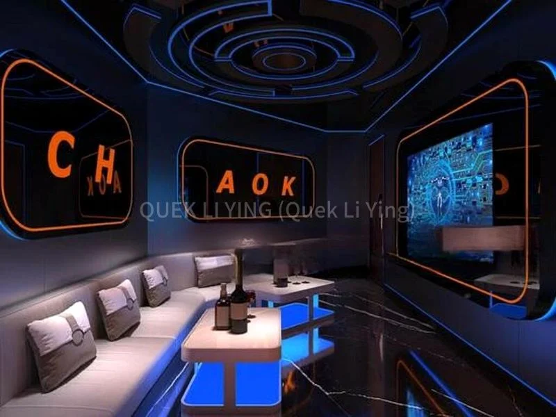 Shop / Shophouse for Rent: North Bridge Road - Image 3