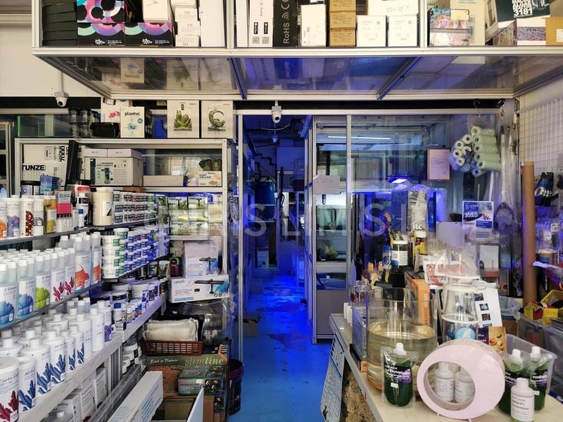 Shop / Shophouse for Rent: Aquarium Shop on Lavender Street - Image 5