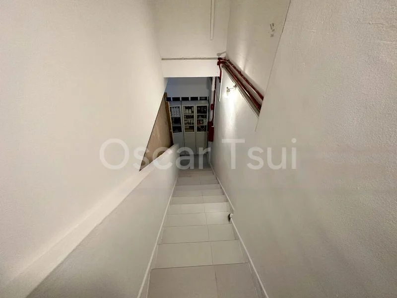 Shop / Shophouse for Sale: 6 Holland Close - Image 3