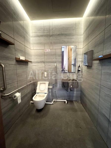 Shop / Shophouse for Rent: South Bridge Road - Image 3