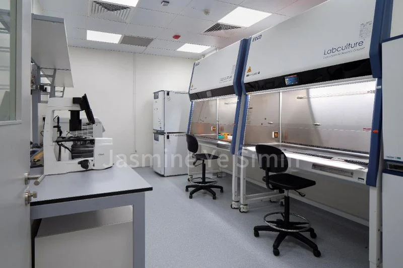 e-Business for Rent: Cintech IV - Image 8