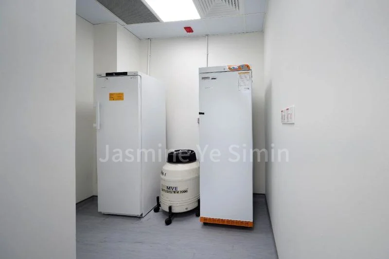 e-Business for Rent: Cintech IV - Image 6