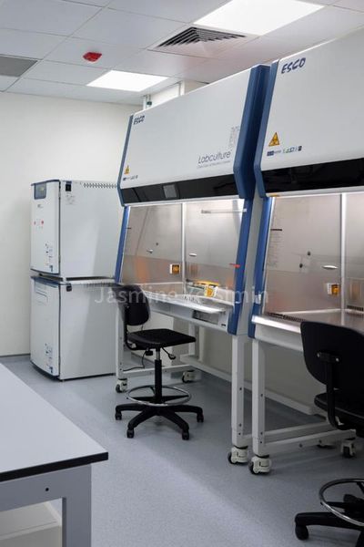 e-Business for Rent: Cintech IV - Image 7