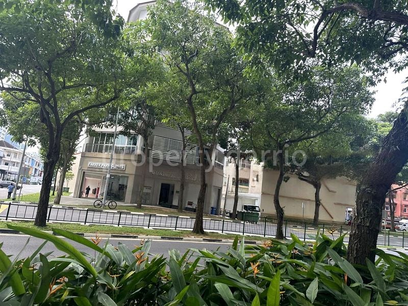 Shop / Shophouse for Rent: 683 Tessensohn Road - Image 1