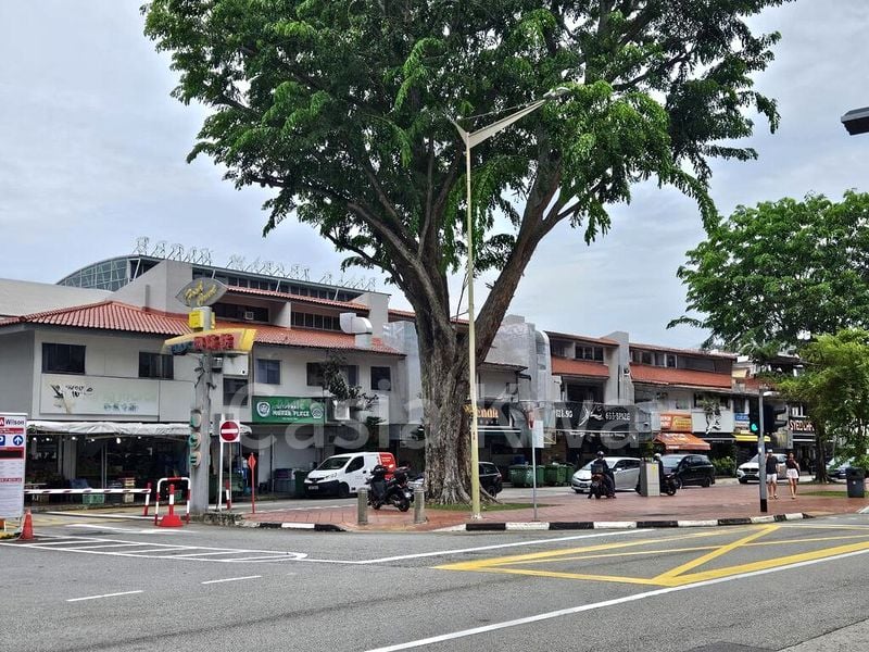 Shop / Shophouse for Rent: Bedok Road - Image 3