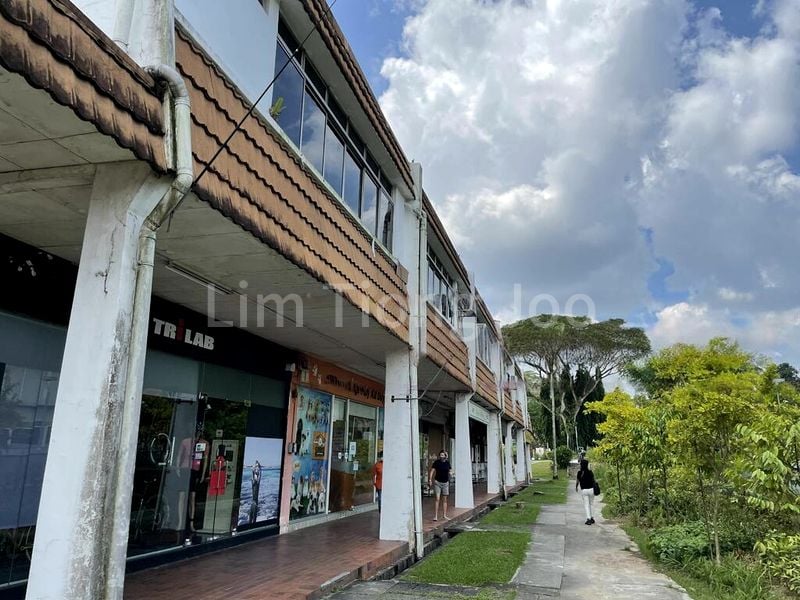 6 Bed Semi-Detached House (Landed) for Sale in Springleaf Garden Estate - Image 1