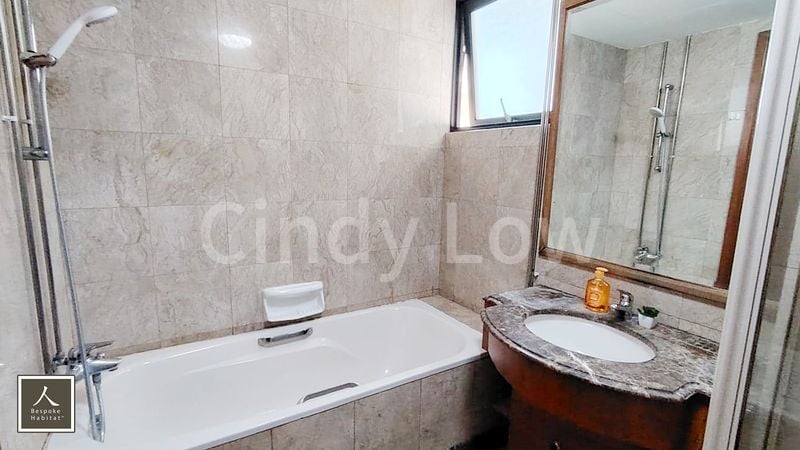 Master Room (Condo) for Rent in  Tanglin View - Image 4