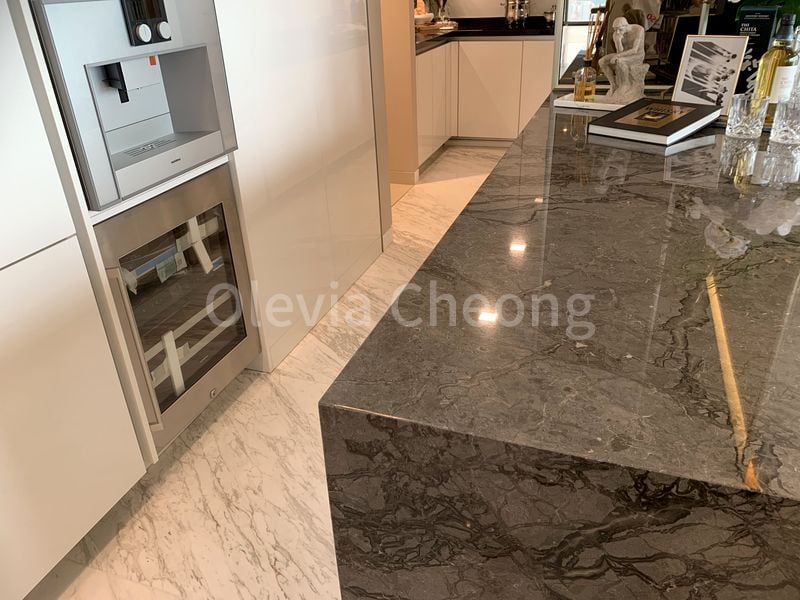 4 Bed Apartment (Condo) for Sale in Wallich Residence - Image 4