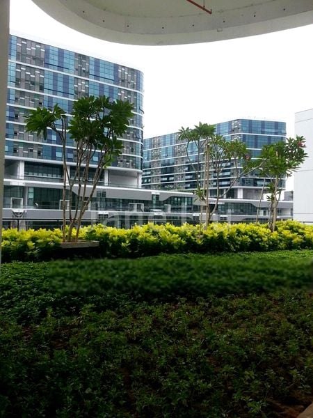 Light Industrial (B1) for Rent in Oxley Bizhub - Image 4