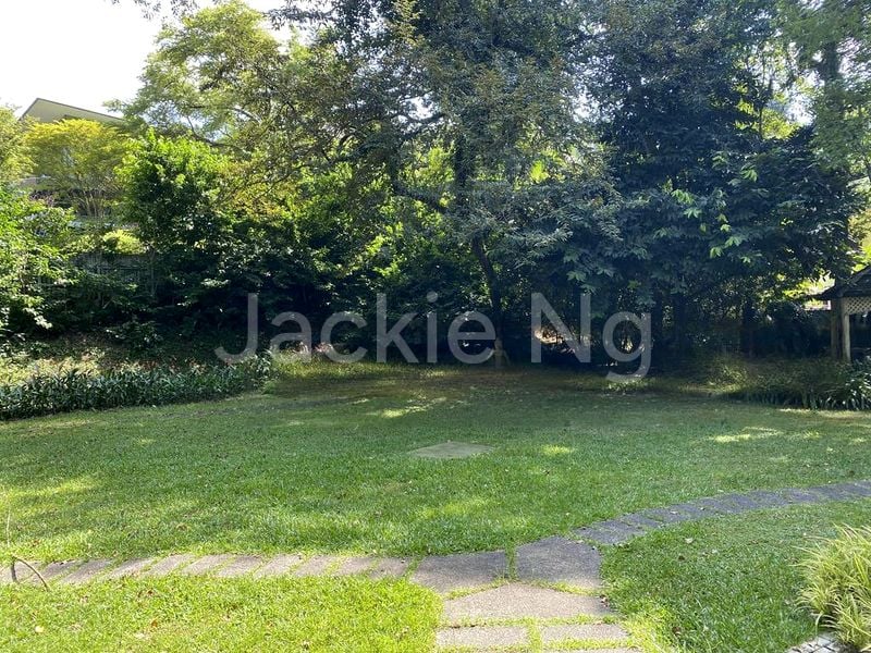 Studio Bungalow (Landed) for Sale in  Nassim Road - Image 4