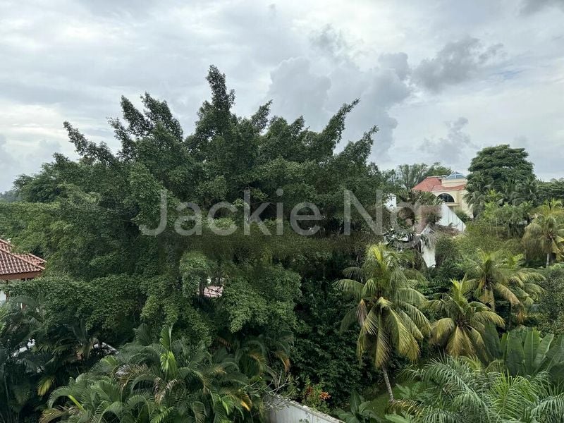 Studio Bungalow (Landed) for Sale in  Nassim Road - Image 3