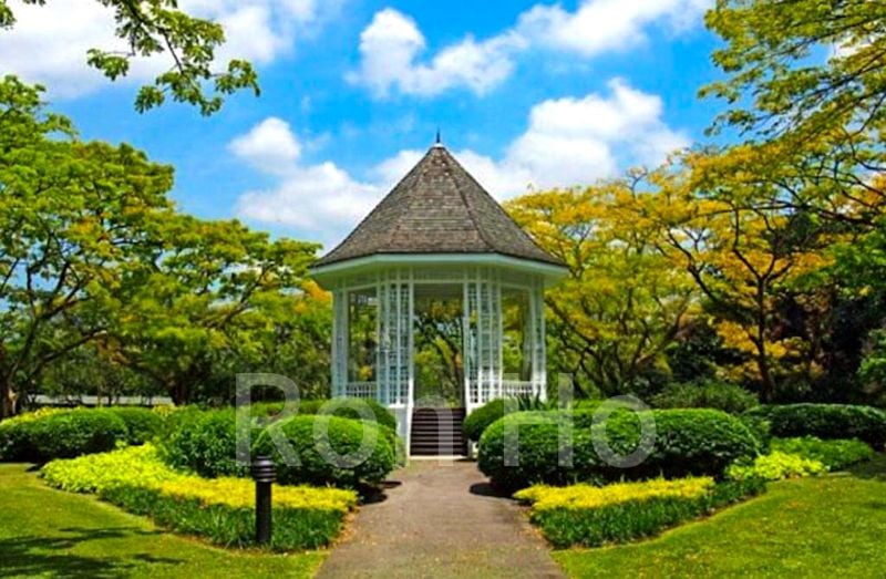 3 Bed Apartment (Condo) for Rent in  Botanic Gardens View - Image 11