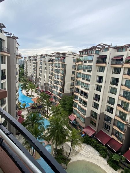3 Bed Condo for Rent in  Sunhaven - Image 6