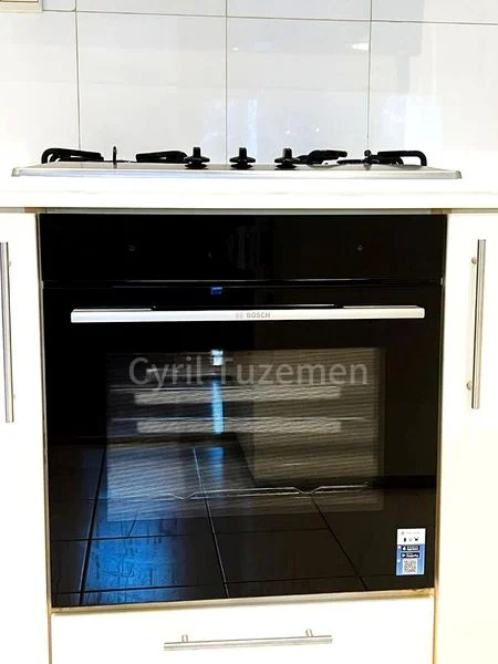 3 Bed Apartment (Condo) for Rent in  Watermark Robertson Quay - Image 3