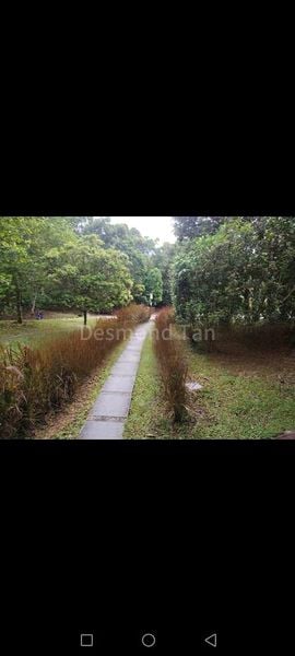 6 Bed Semi-Detached House (Landed) for Sale in Airview Park - Image 5