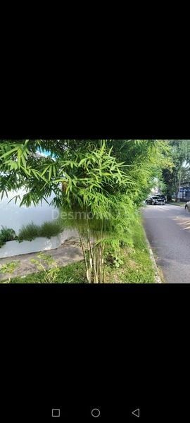 6 Bed Semi-Detached House (Landed) for Sale in Airview Park - Image 2