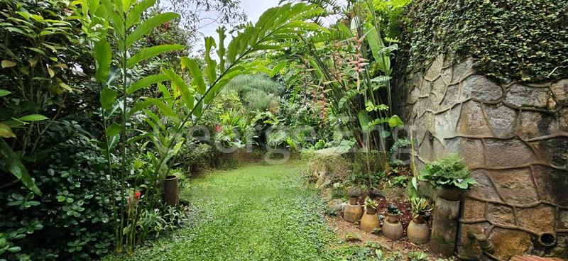 6 Bed Bungalow (Landed) for Sale in  Greenbank Park - Image 2