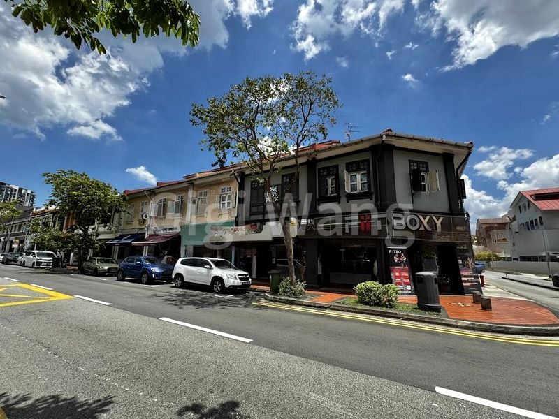 Freehold: Two Adjoined Corner Shophouses for Sale - Image 4