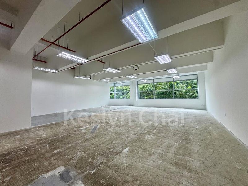 Light Industrial (B1) for Rent: Golden Agri Plaza - Image 4