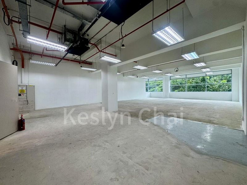 Light Industrial (B1) for Rent: Golden Agri Plaza - Image 3