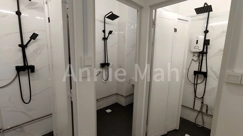 Common Room (Landed) for Rent in  Kreta Ayer Conservation Area - Image 6