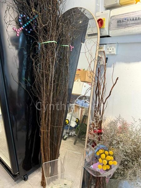 Shop / Shophouse for Rent: The Promenade @ Pelikat - Image 1