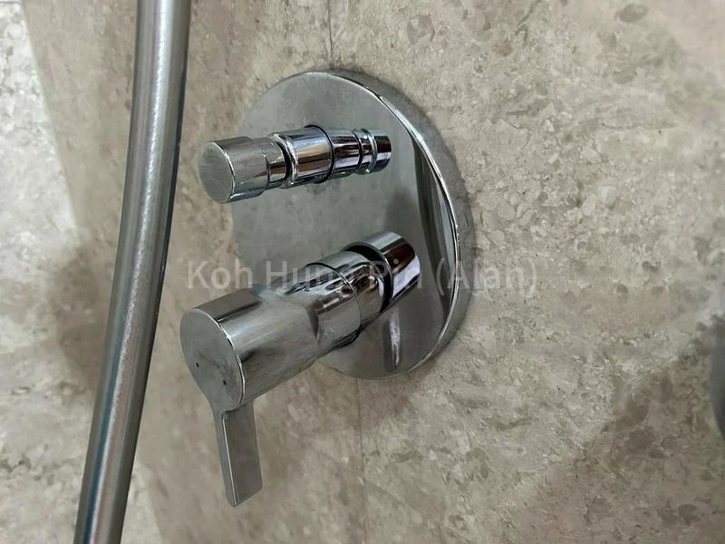 Common Room (HDB) for Rent in  609 Bukit Panjang Ring Road - Image 3