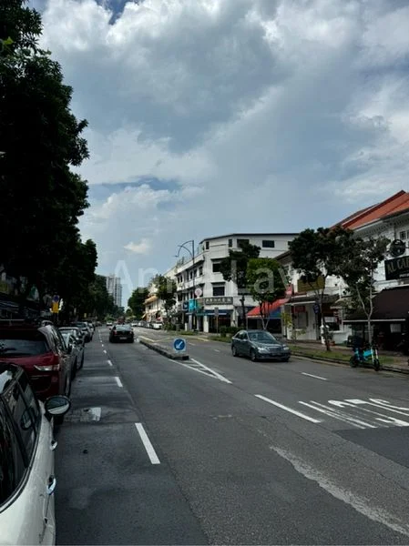 Shop / Shophouse for Sale: 222 Tanjong Katong Road - Image 1