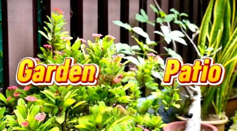 3 Bed Terraced House (Landed) for Sale in  Hong Leong Garden - Image 9