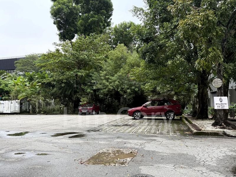 Warehouse for Rent: Pasir Panjang Road - Image 7