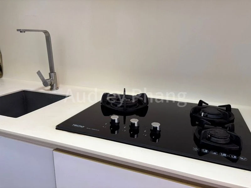 2 Bed Apartment (Condo) for Rent in  Bliss @ Kovan - Image 6