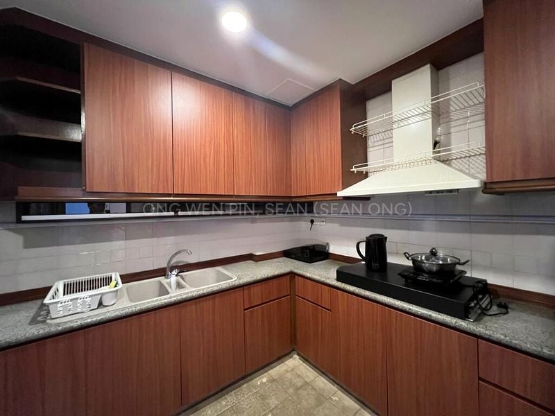 4 Bed Condo for Rent in  Dover Parkview - Image 10