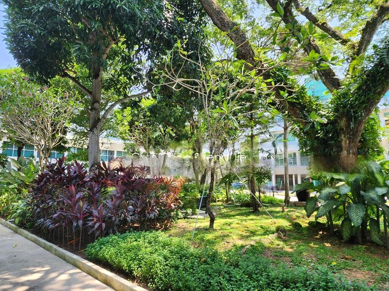 Office for Rent: COMMERCIAL SCHOOL / OFFICE @ ALEXANDRA - Image 5