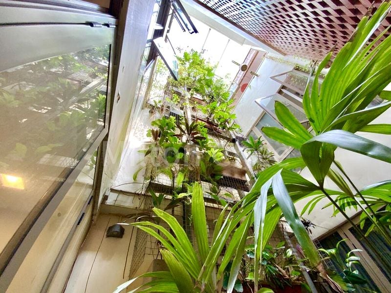 5 Bed Terraced House (Landed) for Sale in  Seletar Hills Estate - Image 6