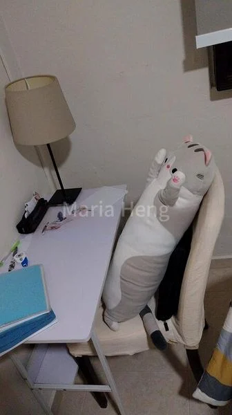 Common Room (HDB) for Rent in  303 Clementi Avenue 4 - Image 4