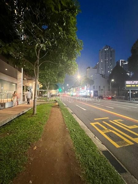 Shop / Shophouse for Sale: Adjoining Shophouses on Serangoon Road - Image 2