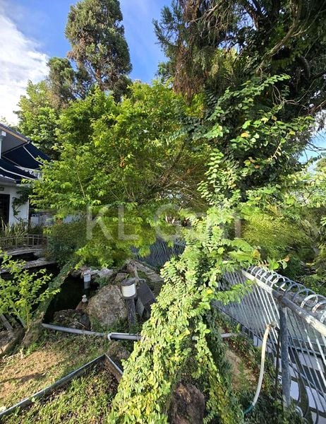 5 Bed Bungalow (Landed) for Sale in  Flamingo Valley - Image 9