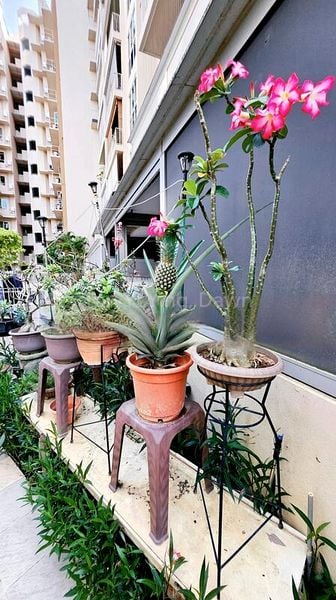 3 Bed Executive Condo for Sale in  Watercolours - Image 14