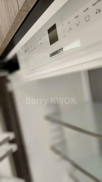 3 Bed Condo for Rent in  Klimt Cairnhill - Image 11