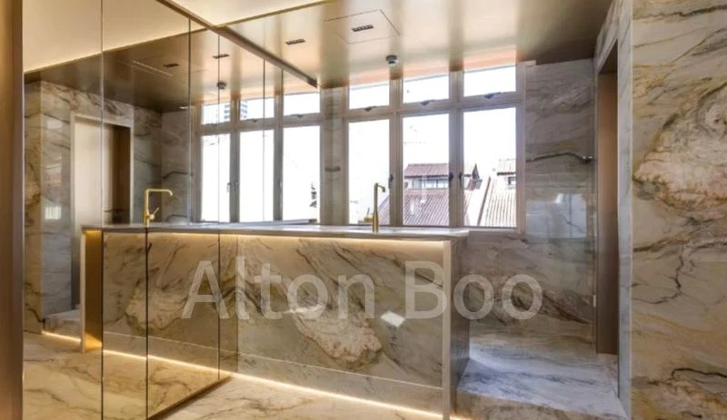 Shop / Shophouse for Sale: Circular Road - Image 3