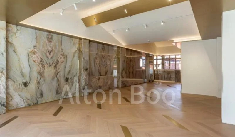 Shop / Shophouse for Sale: Circular Road - Image 2