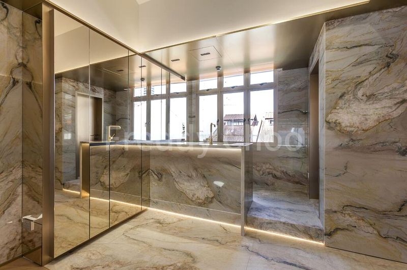 Shop / Shophouse for Sale: Circular Road - Image 3